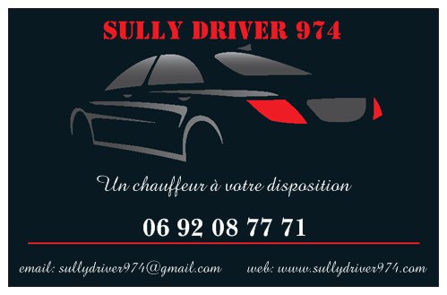 Un Chauffeur à votre disposition!!!